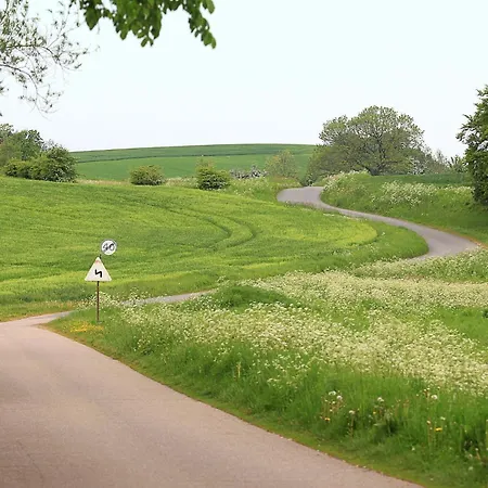 10 Person In Haderslev-by Traum