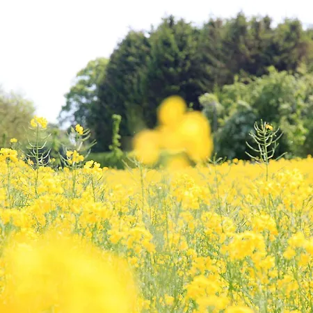 Feriehus 10 Person In Haderslev-by Traum *